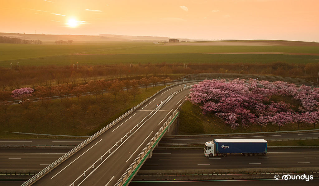 Immagine autostrada camion piante sole e cielo per Settore autostradale