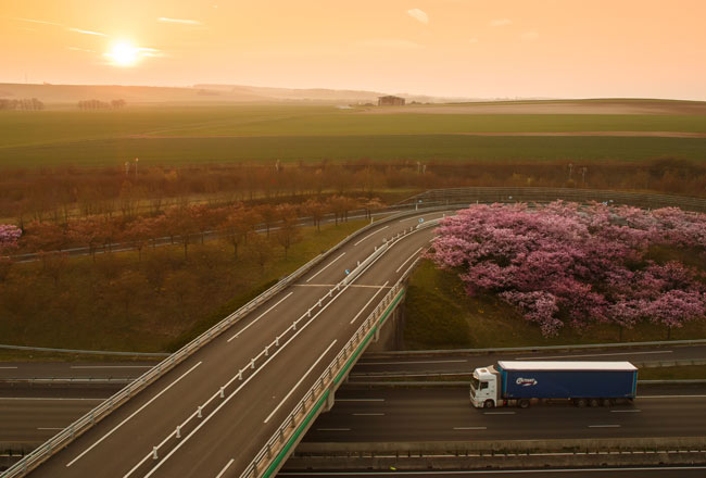 camion autostrada ponte piante rosa sole distesa di campi cielo limpido