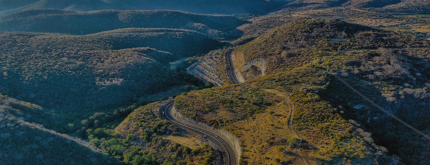 strade di montagna alberi ponte sulla sinistra