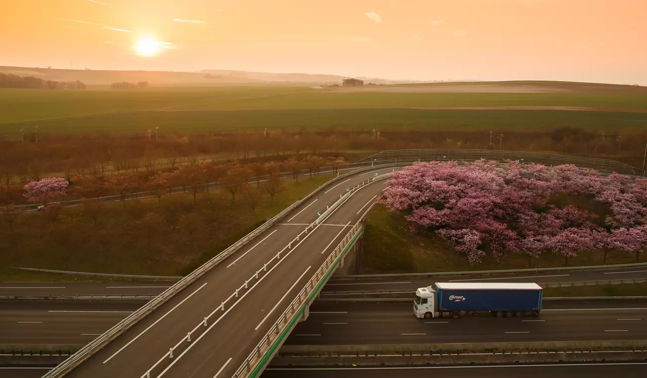 autostrada Francia camion aberi distesa di campi sole alba